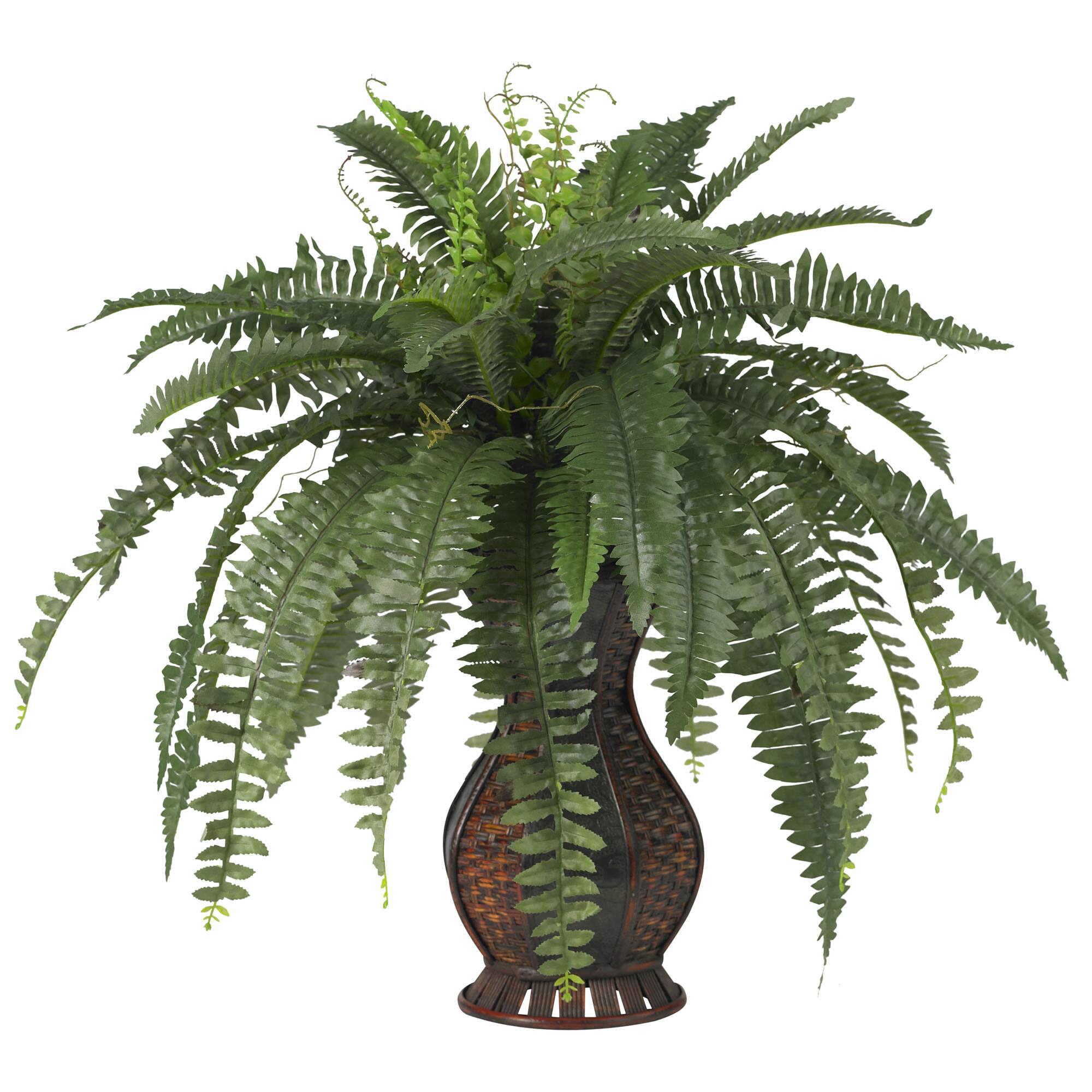 2.5.ft. Boston Fern In Decorative Brown Urn